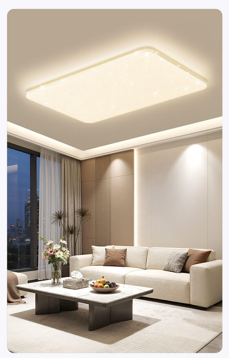 Daier LED Ceiling Light, Modern And Simple Design, Eye-Protecting, for Study Room And Bedroom, Zhongshan Lighting Fixture, Starry Sky Style, Luxury Design, Installation Included 13