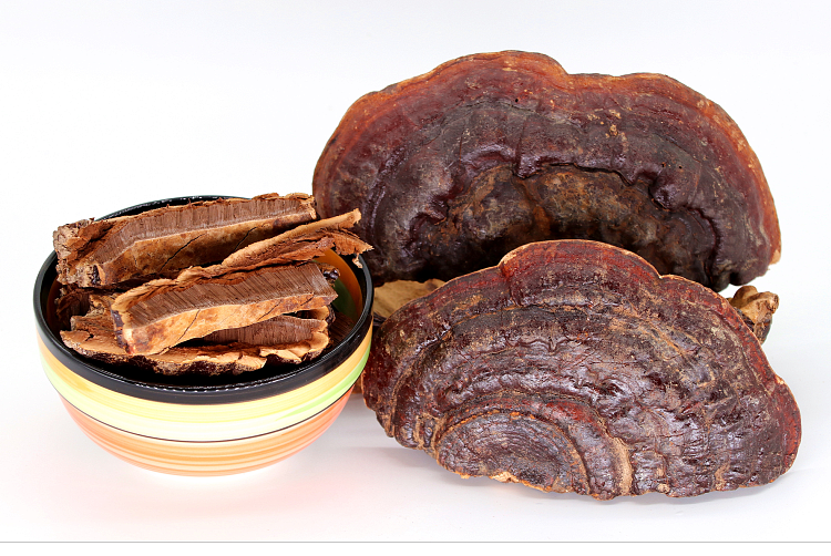 野生赤灵芝片整棵无柄赤芝整枝野生赤灵芝深山林芝可切片磨粉250g