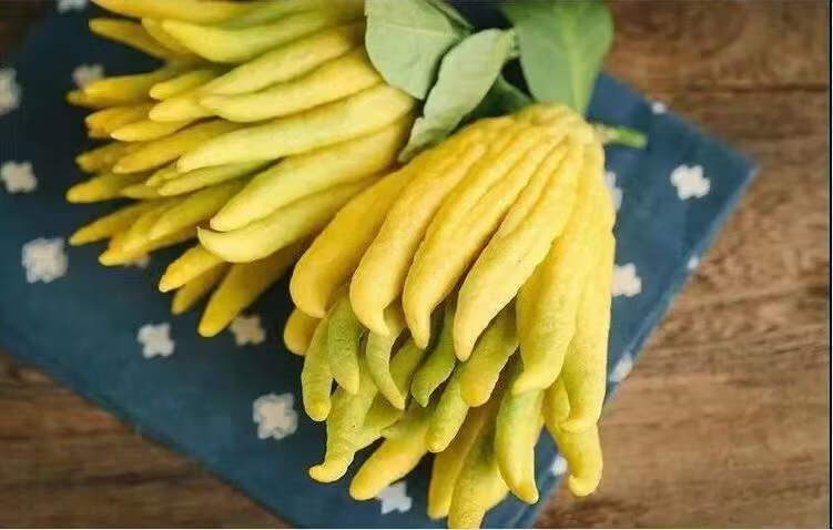 【20年】佛手老香黄潮州陈年佛手果干泡水暖胃二十年老香橼 500g老