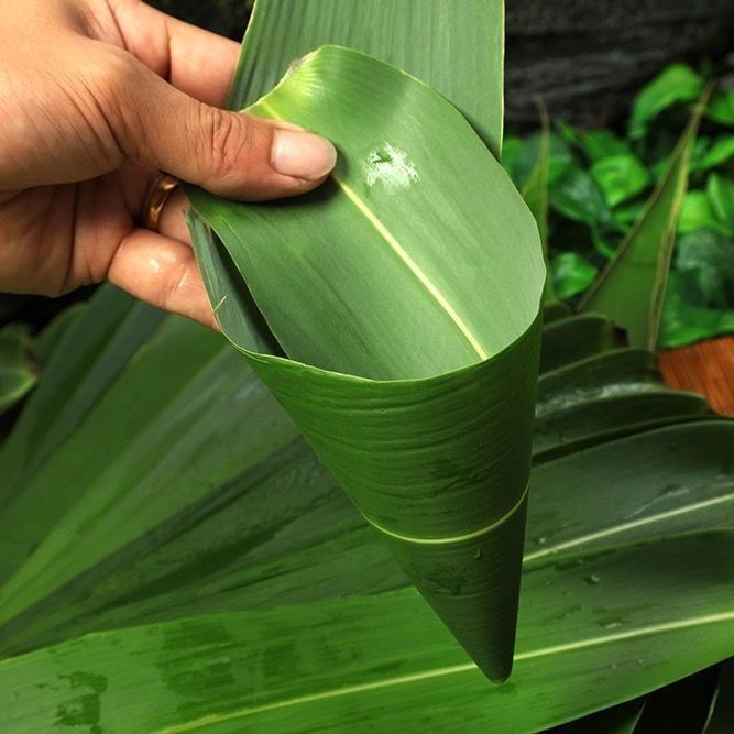 新鲜粽子叶广西现摘现发大粽叶端午节叶清香芦苇叶 有货-新鲜粽子叶 1