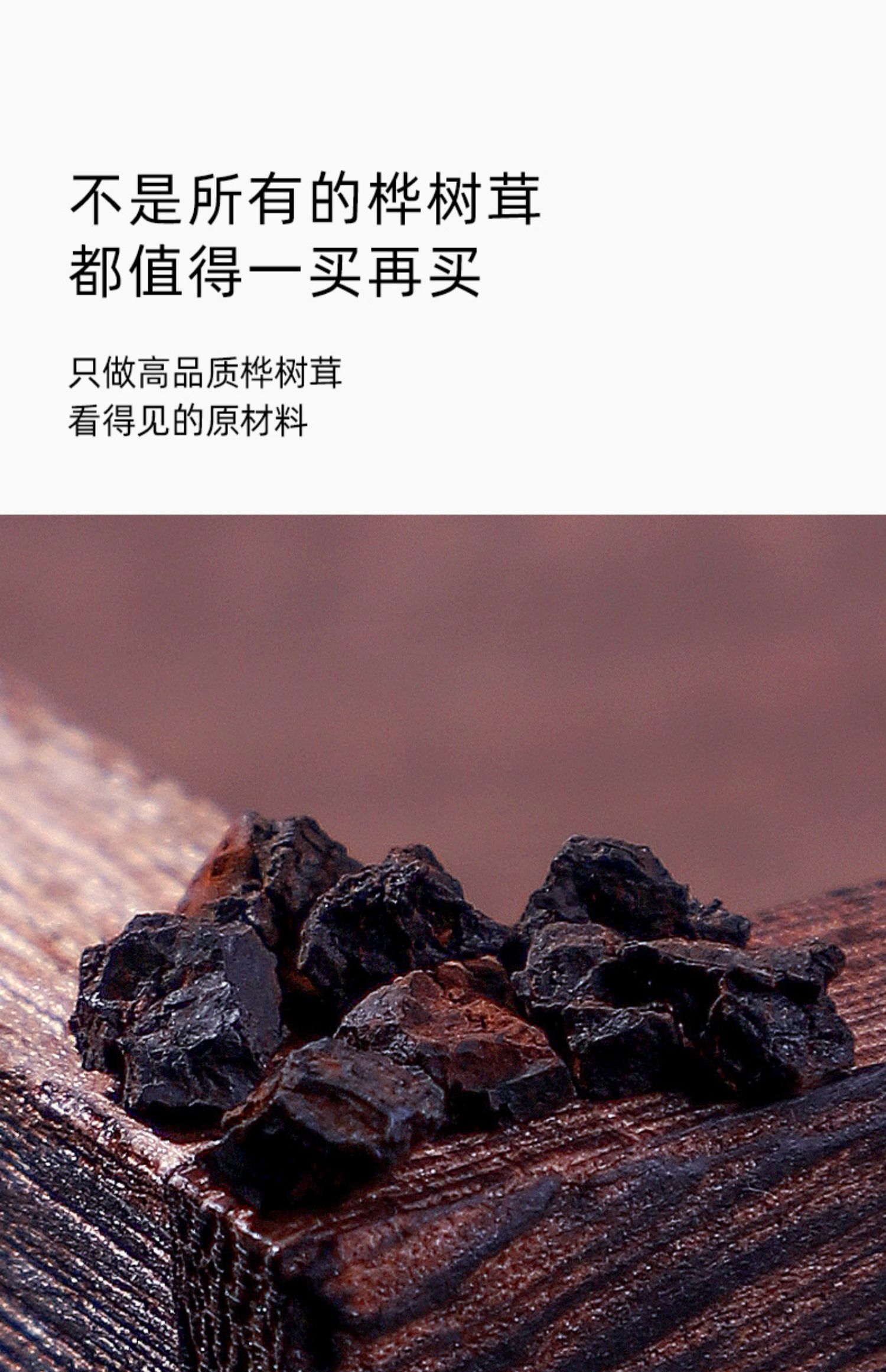 桦树茸野生一斤500g黑金颗粒长白山桦树茸 桦树茸【黑金颗粒500罐装】