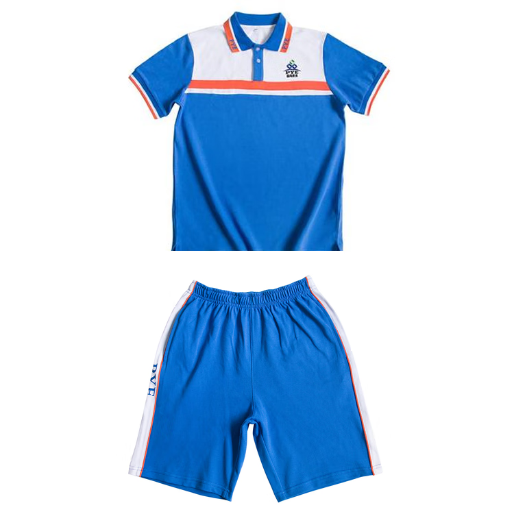 广州市番禺区初中校服公立番禺教育统一纯棉短袖短裤长裤校服套装 女