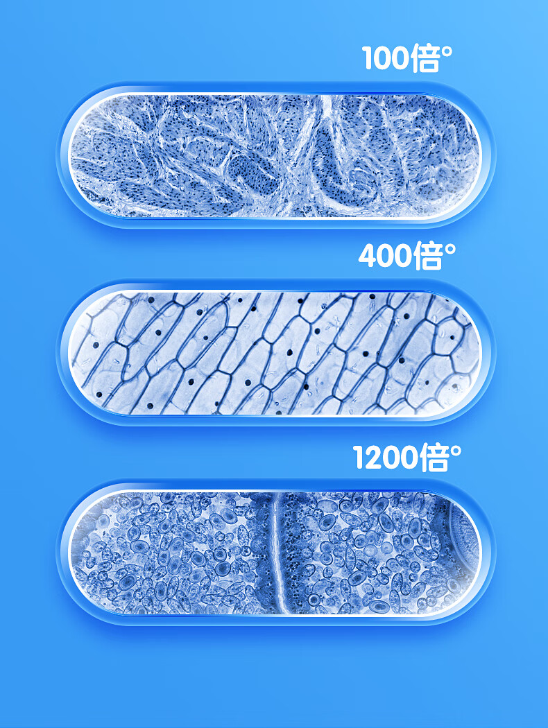 儿童显微镜中学生专用高清可看细菌小学生科学小实验套装玩具 【礼袋