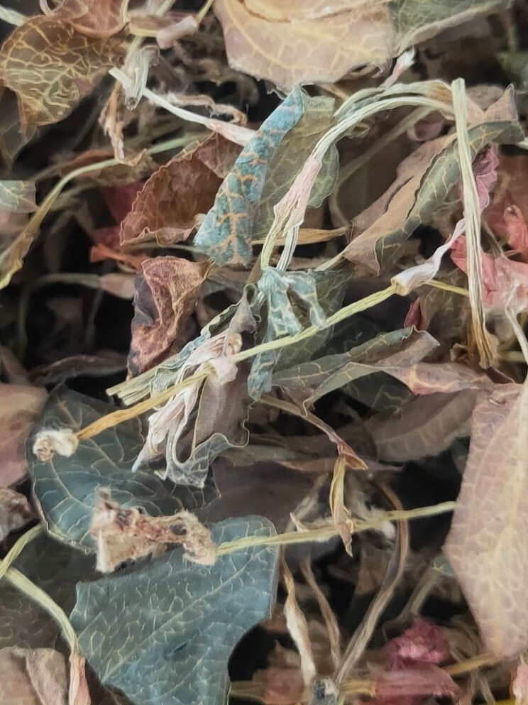 北京同仁堂原料广西野生金线莲(肺金草)精选整株干品50克散装泡水喝的