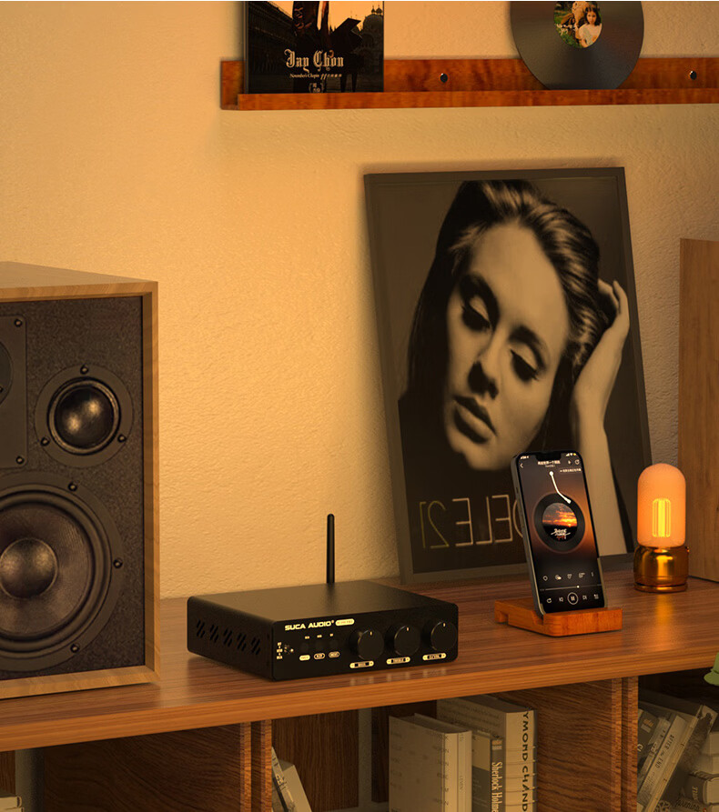 SUCA AUDIO Shengyouchuang 99E PRO High Power Bluetooth 5.2 Digital USB Lossless Playback Compact Home Amplifier 29