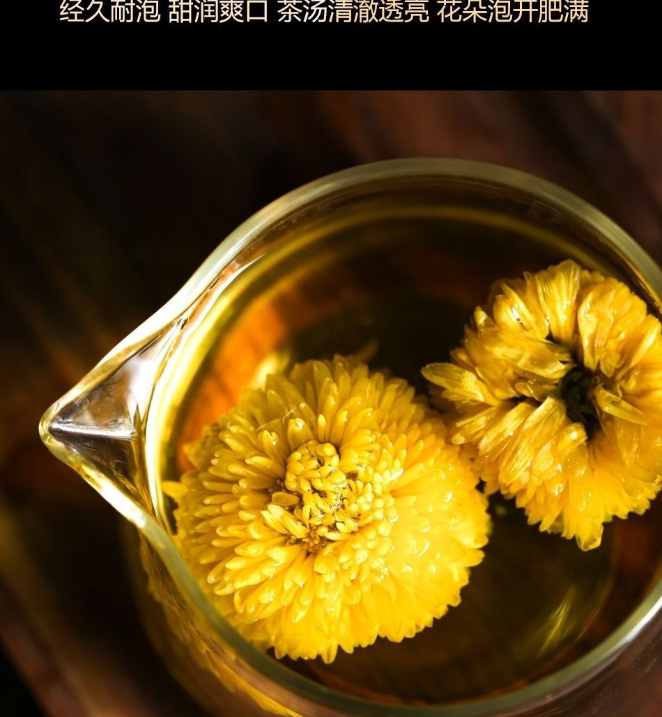 云台山冰菊 玫瑰花【图片 价格 品牌 报价】-京东