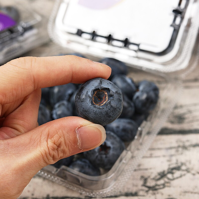 【顺丰空运】新鲜云南蓝莓鲜果盒装应季时令水果整箱大果约125g/盒新