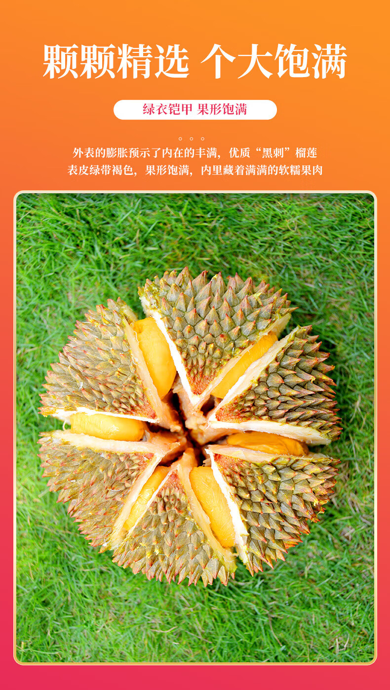 黑刺榴莲 马来西亚d200黑刺榴莲 稀有品种高山树上熟榴莲 进口榴莲 整