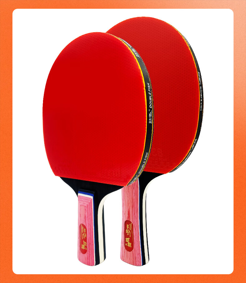 DOUBLE FISH Penhold and Shakehand Beginner Training Student Youth High Elasticity Sponge Table Tennis Paddle Competition Racket 14