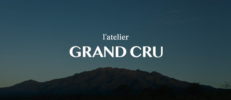 LATELIER GRAND CRU 350ml Enamel Single Handle Coffee Mug 7