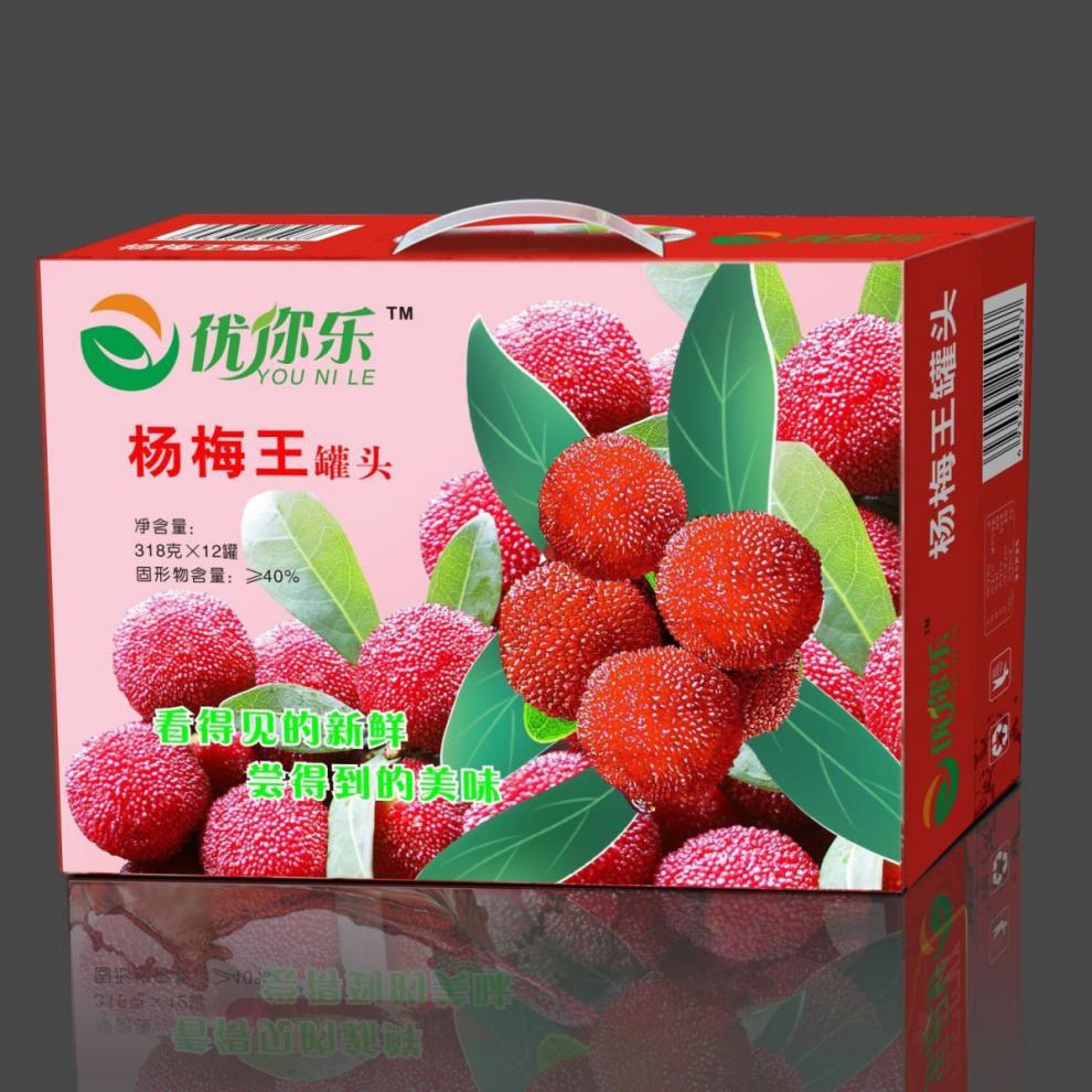 晨臻 欢乐家糖水杨梅罐头水果杂果肉饮料零食12罐1箱 冠嘉杨梅罐头1件