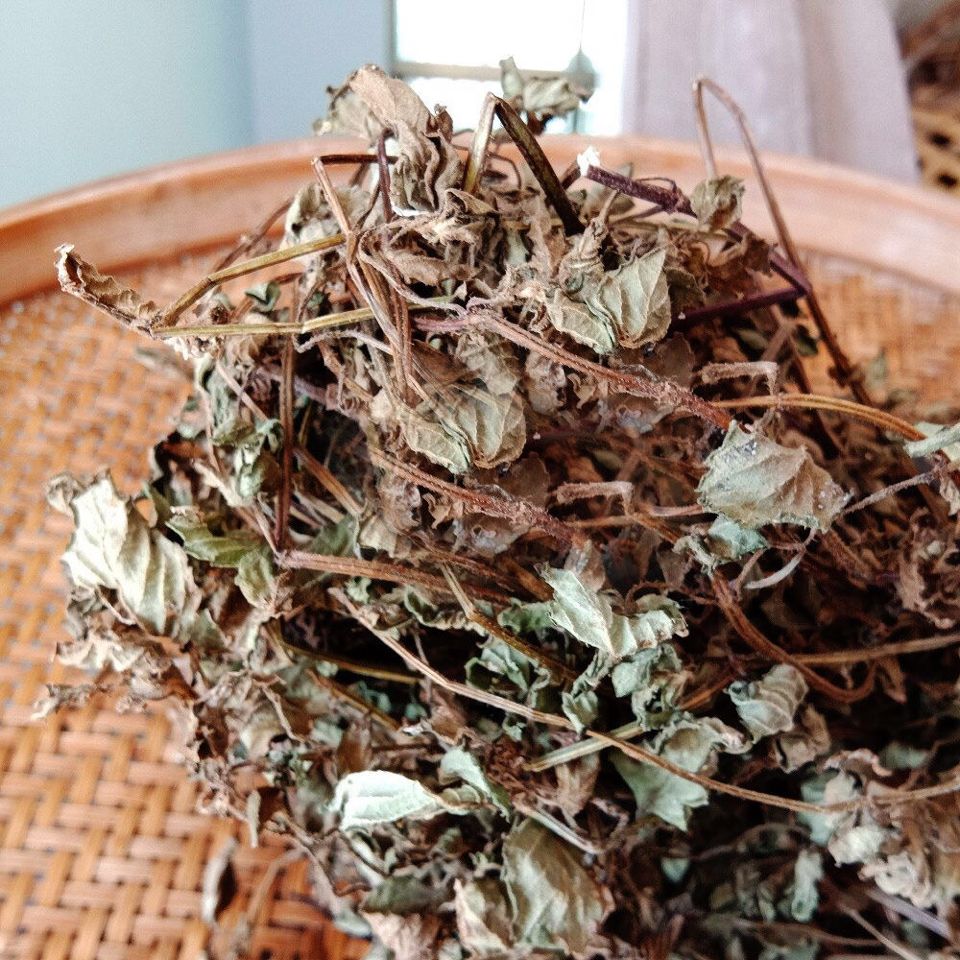 潮汕特产草草粿草黑凉粉烧仙草原料仙草蜜凉粉草草干送配料 草干送