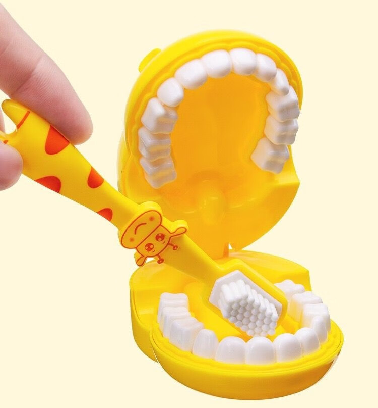牙齿模型玩具假牙模型模具牙齿模型幼儿园儿童牙齿模型玩具刷牙教具小