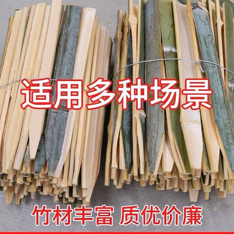 00832ee2ee941433.jpg.avif