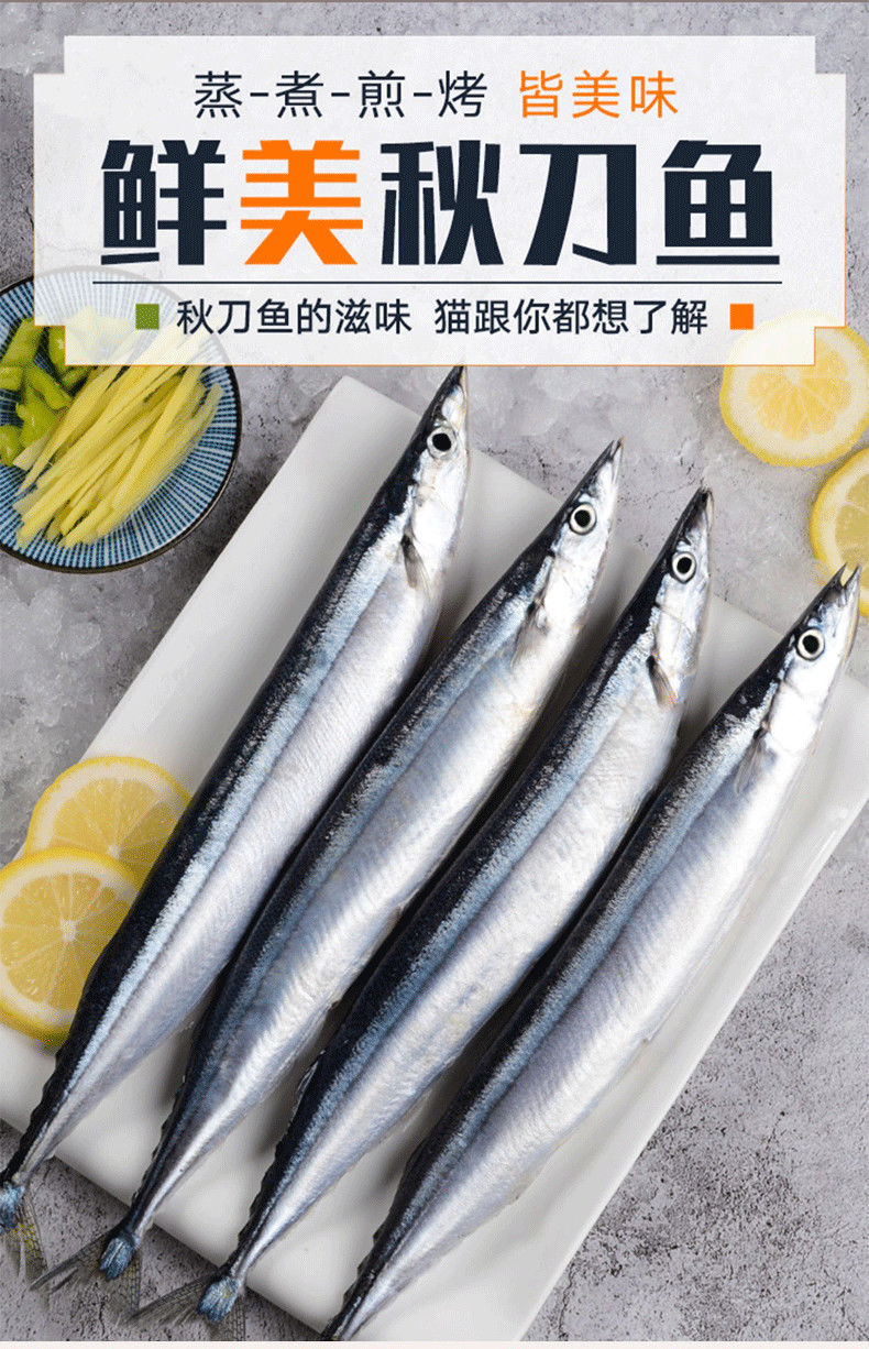 冷冻12条装新鲜鱼海鲜水产深海鱼日式烧烤食材 一斤秋刀鱼【图片 价格