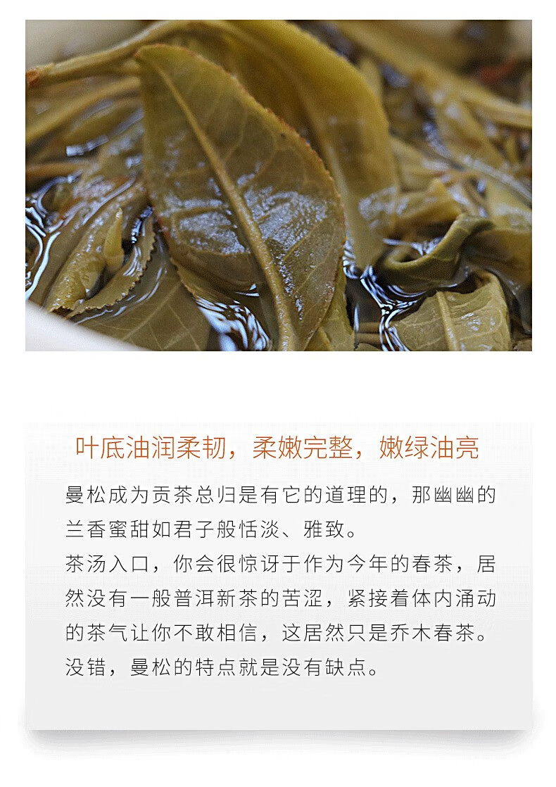 则道 曼松贡茶2018年曼松普洱春茶生茶茶饼五子饼整提共500g 500g