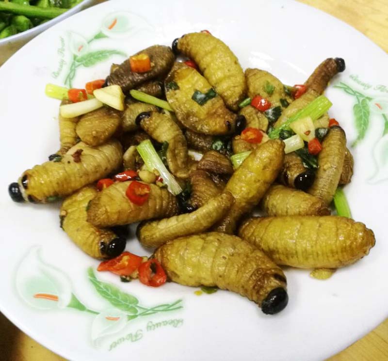 伟博竹笋虫新鲜速冻500g笋蛹竹蛆食用昆虫高蛋白竹象虫幼虫山珍货