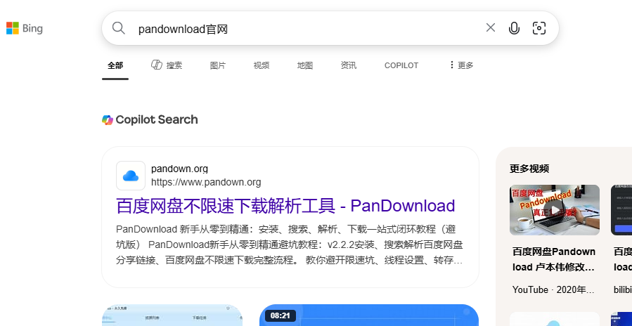 搜索pandownload官网