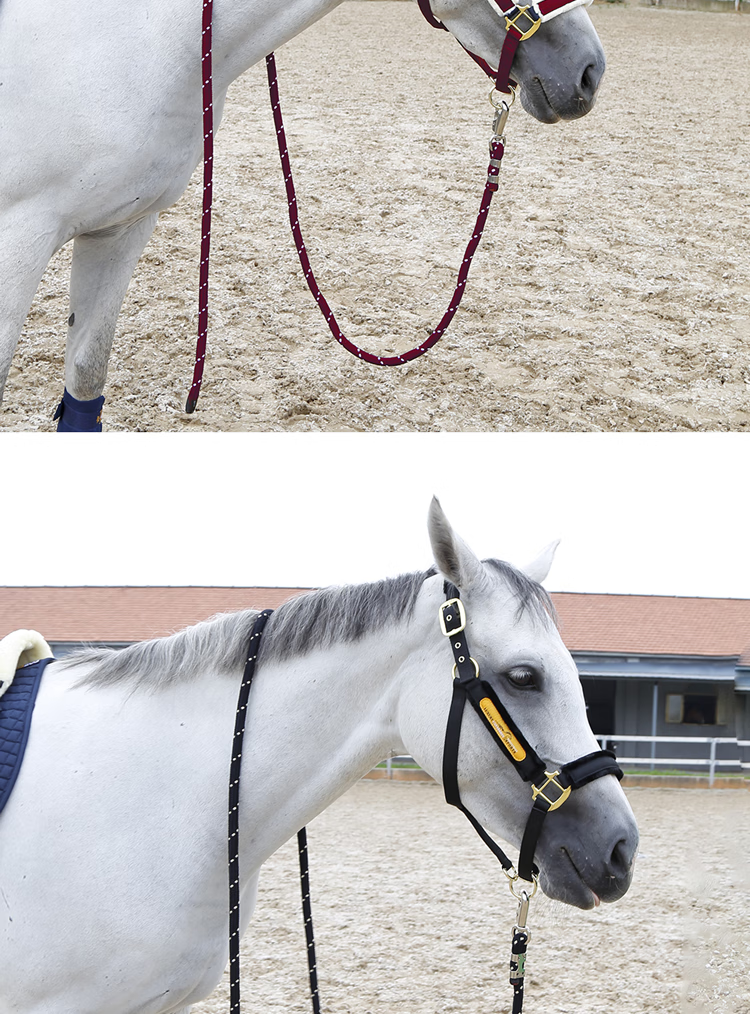 马匹装备双色牵马绳3m 骑行骑士骑马马匹装备马具8218098 黑色笼头