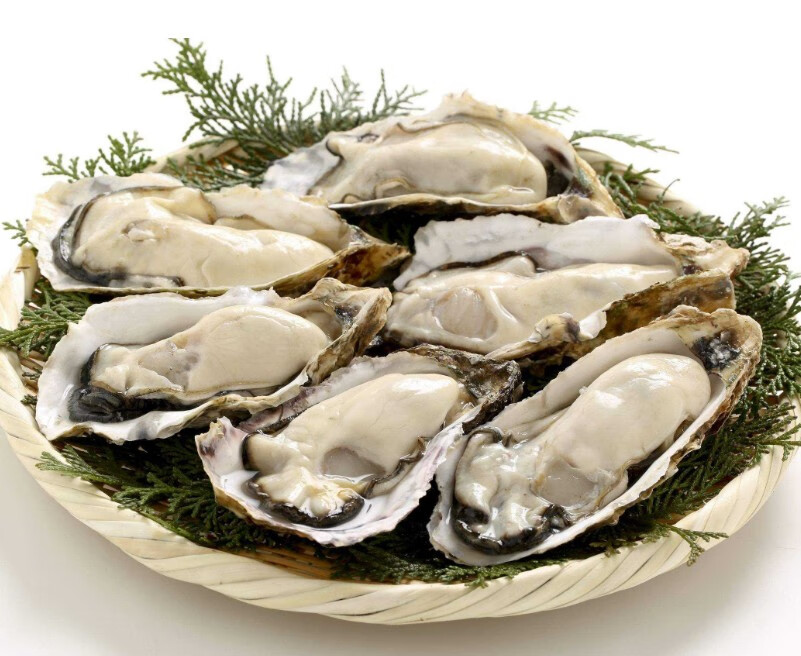 牡蛎提取物食品级深海牡蛎肽粉 牡蛎肉提取物 牡蛎肽粉末 小分子低聚