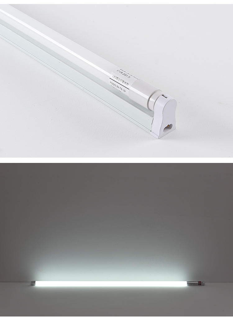 t8分体应急灯管(应急90分钟) 白 1