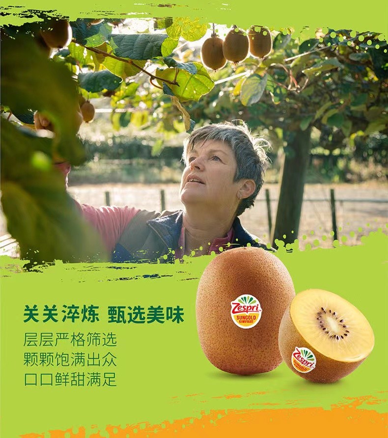 佳沛zespri 新西兰金果黄心进口奇异果猕猴桃特大果礼盒 12枚定制款奇