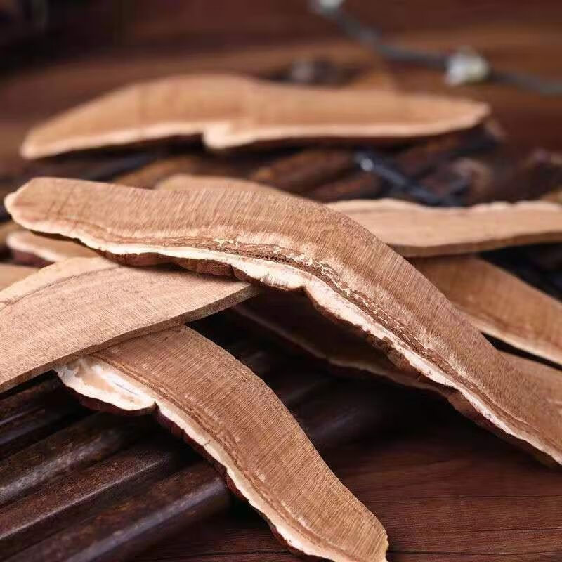 原料芽斛芝官方防伪认证可搭配大支矴花参茶野生芽斛芝矴花参茶