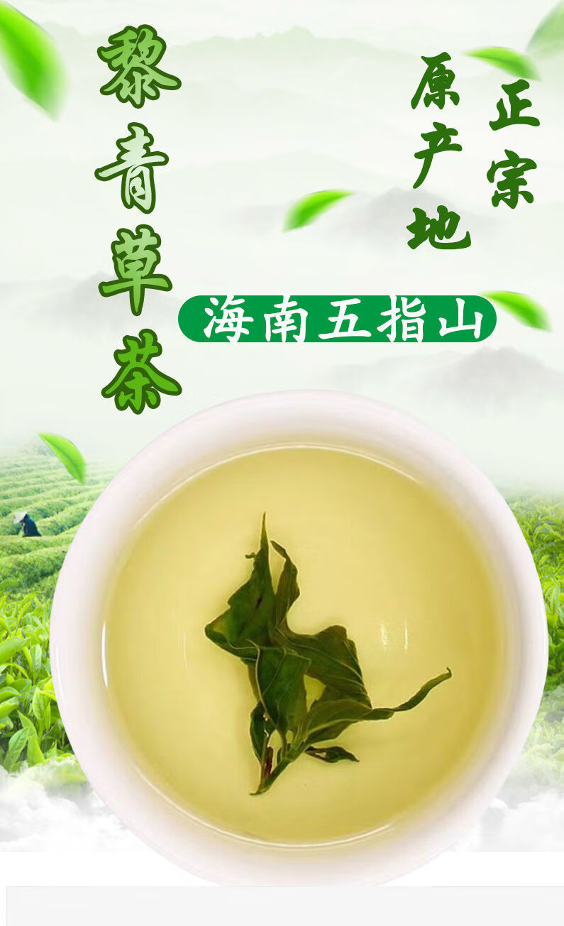 北京同仁堂 原料黎青茶海南五指山正宗黎清茶忧遁草茶鳄嘴花茶黎王草