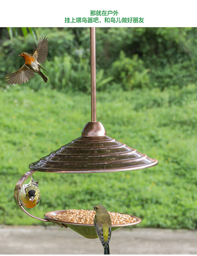 鸟类喂食器 户外喂鸟器精品鸟粮容器鸟用食盒鸟用具益鸟鸽用品 电镀红