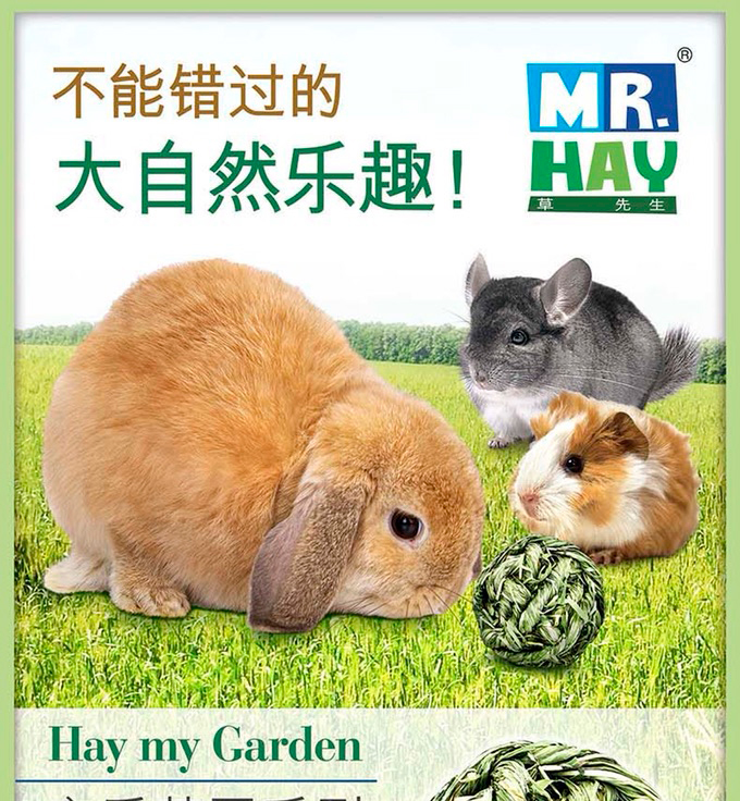 草先生/宠爱草园系列提摩西草球天竺鼠兔子龙猫 磨牙零食mh25
