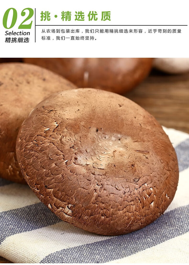 媚调 褐菇新鲜牛排菇波多黎各菌西餐火锅烧烤食用菌蘑菇大菇 顺丰