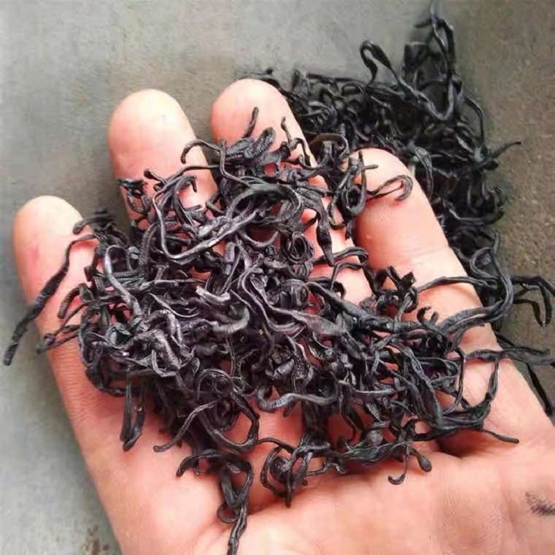 玉泉韵伟博 材水蛭蚂蟥小水蛭干吊干东北金边医蛭干货清水 500克 50g