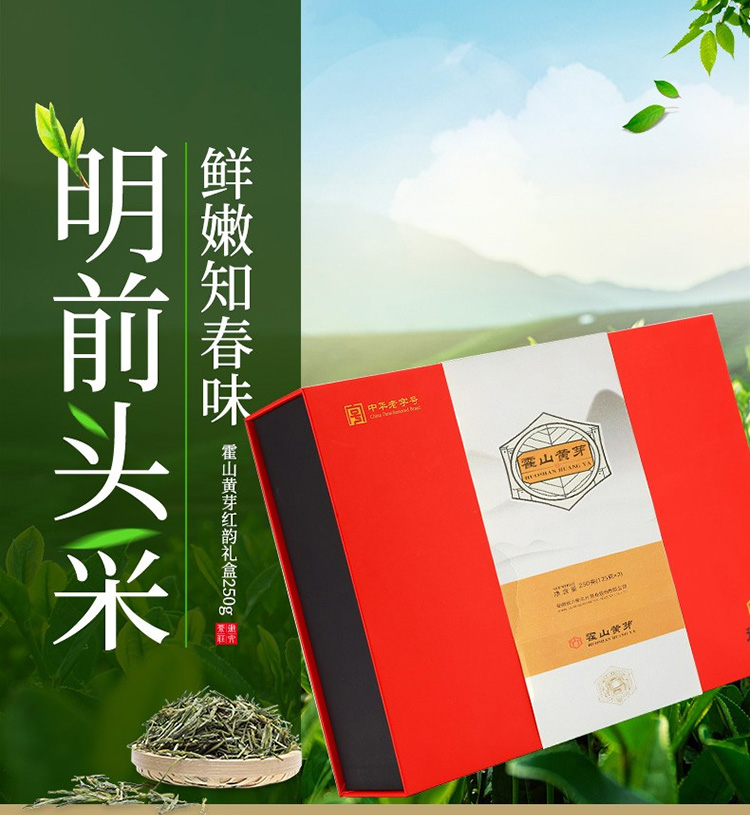 茶叶 黄茶 霍山黄芽 2019新茶 春茶红韵礼盒装 250g【行情 报价 价格
