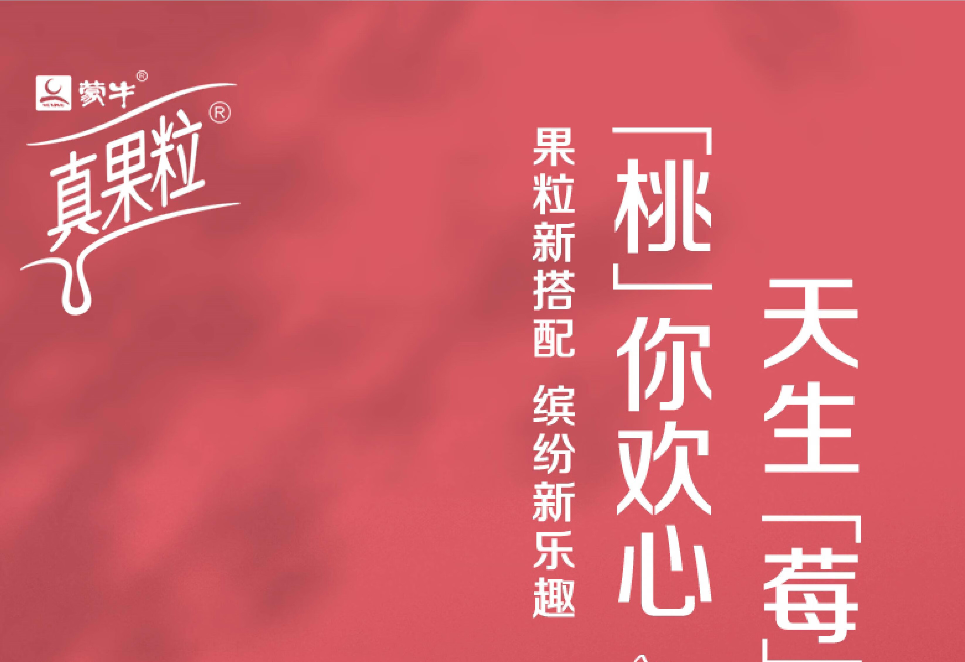 蒙牛 蒙牛真果粒白桃树莓经典牛奶饮品饮料240g*12包整箱 白桃树莓味