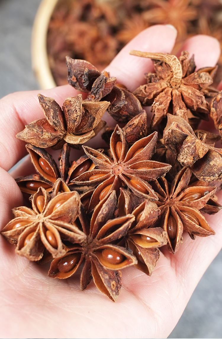 【酉阳馆】薛有料广西玉林八角大料大茴香调味香料火锅炖煮卤炒 八角