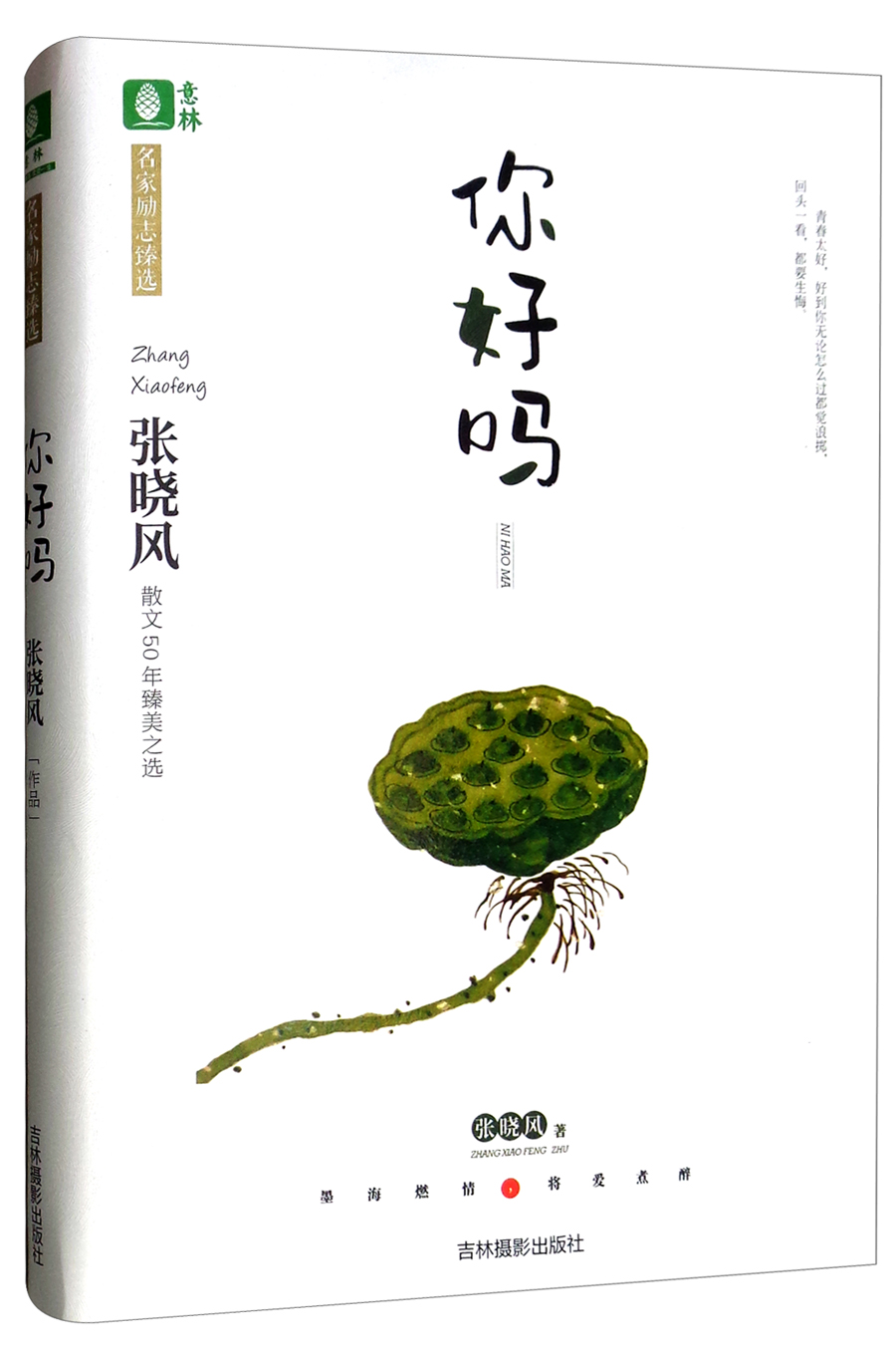 《意林名家励志臻选系列:你好吗》【摘要 书评 试读】- 京东图书