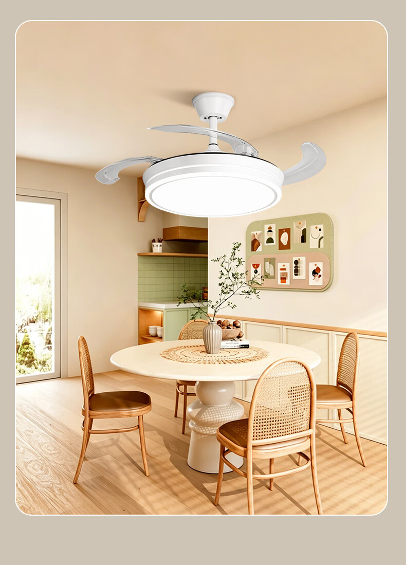 AOC 42-inch Ceiling Fan Light with Pure Light Source for Dining Room, Living Room, Bedroom - Integrated Ceiling Fan Lamp with Installation Included 20