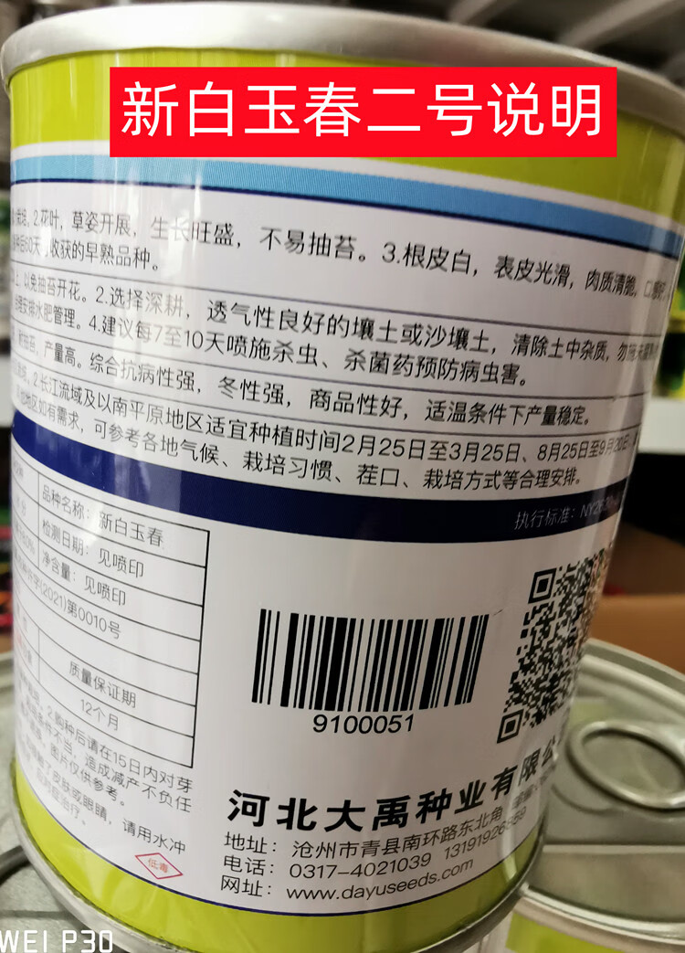 冰糖甜脆水果萝卜种子青皮甜脆萝卜农家秋季菜园大田大棚蔬菜种籽