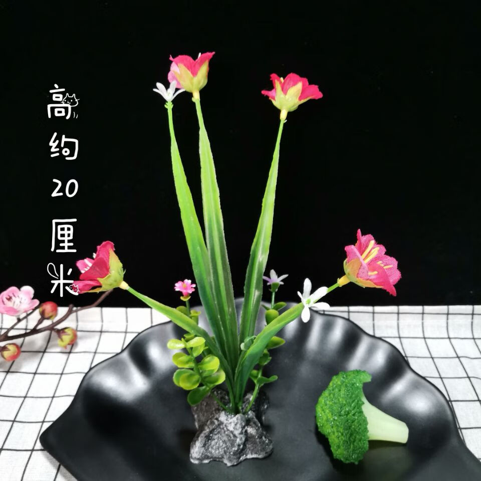 酒店菜品装盘餐厅冷菜盘饰刺身寿司拼盘创意摆件摆盘装饰花草点缀树桩