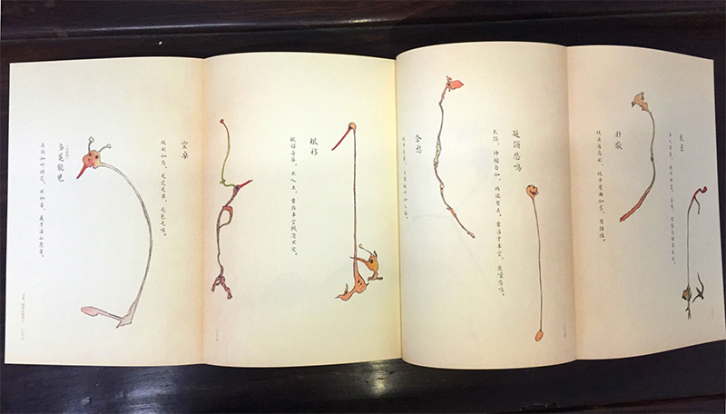 《【现货实拍】便形鸟 朱赢椿著 从《虫子书》到《便形鸟》朱赢椿历时