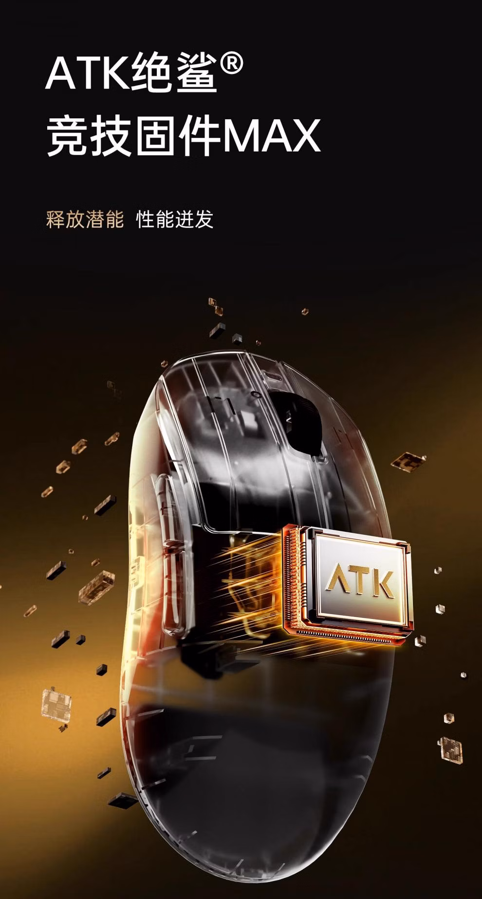 00833de7365685dc.jpg.avif