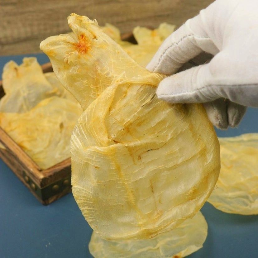 大号越南蜘蛛胶鱼胶干货q弹蜘蛛胶花胶鱼胶鱼泡鱼鳔香港喜爱孕妇蜘蛛