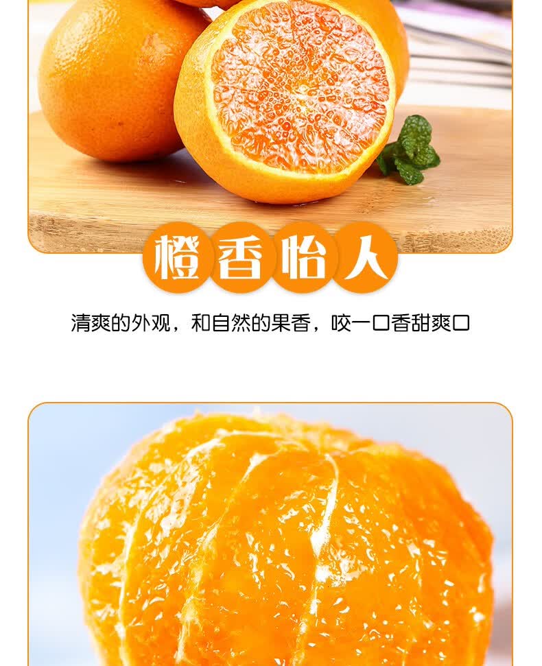 爱媛（定制改）_11.jpg