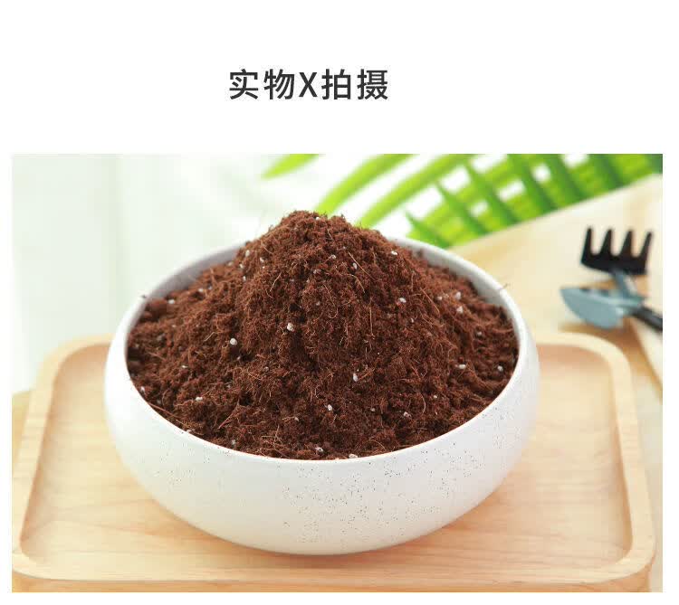 【精选现发】玉树专用土5kg玉树植物专用营养土通用型家用种植酸性