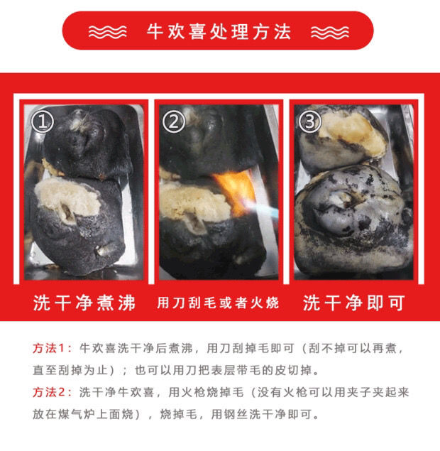 伟博新鲜牛欢喜现杀母牛外阴道生殖牛逼牛二姐牛副品火锅壮腰胶原美容