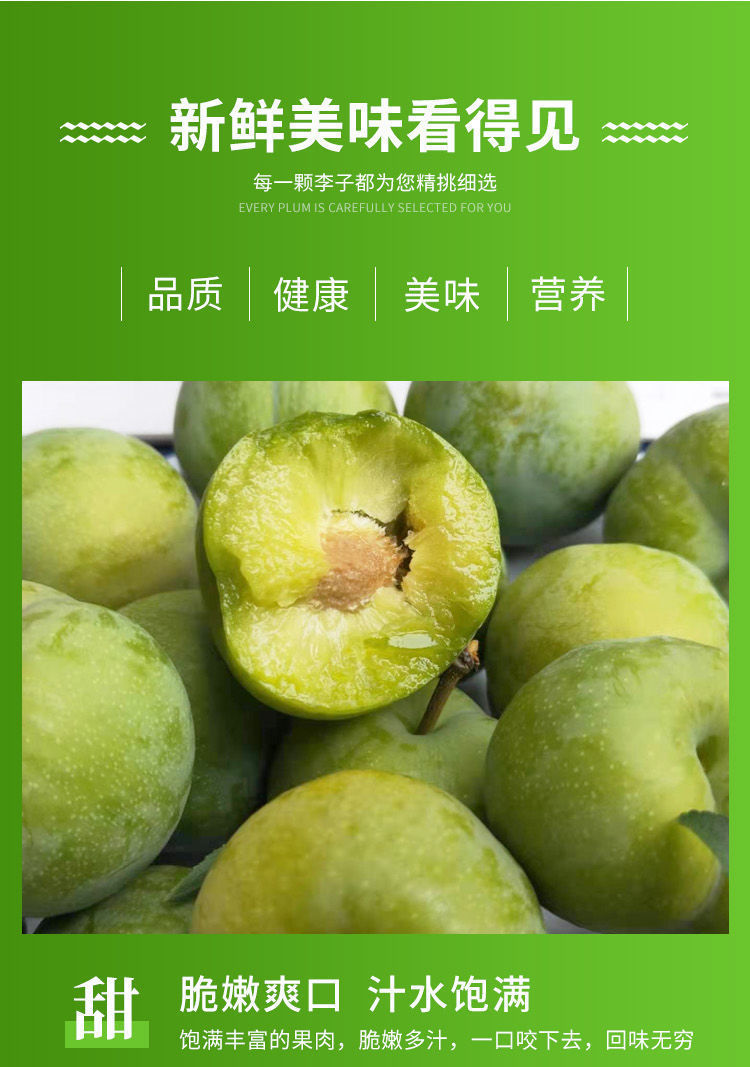四川宜宾特产青脆李子新鲜应季孕妇水果脆甜脱骨空心脆青李半边红tipo