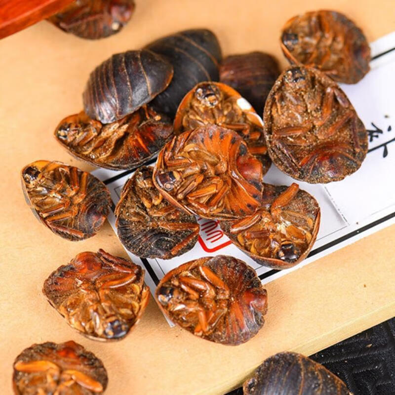 中材 土土鳖虫 地鳖虫 蛰虫 新鲜活体土 散 官方品质小土元和公土元