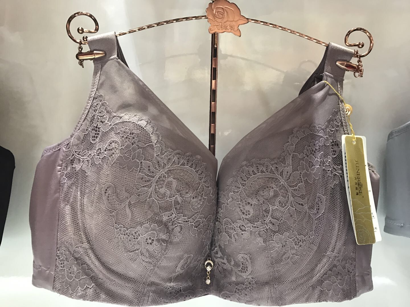 内衣 文胸 笙冉(shengran) 六月玫瑰文胸六月玫瑰 57010 聚拢侧收调整