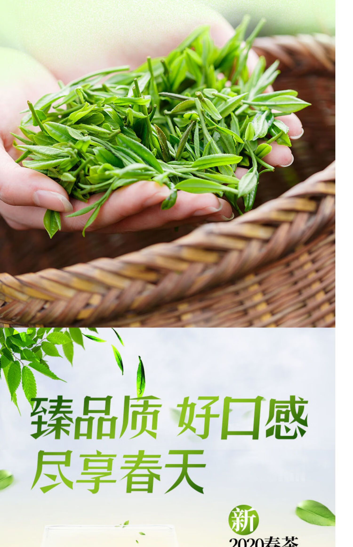 庐山云雾高山云雾绿茶碧螺春2022新茶日照茶叶庐山绿茶云雾散装袋装