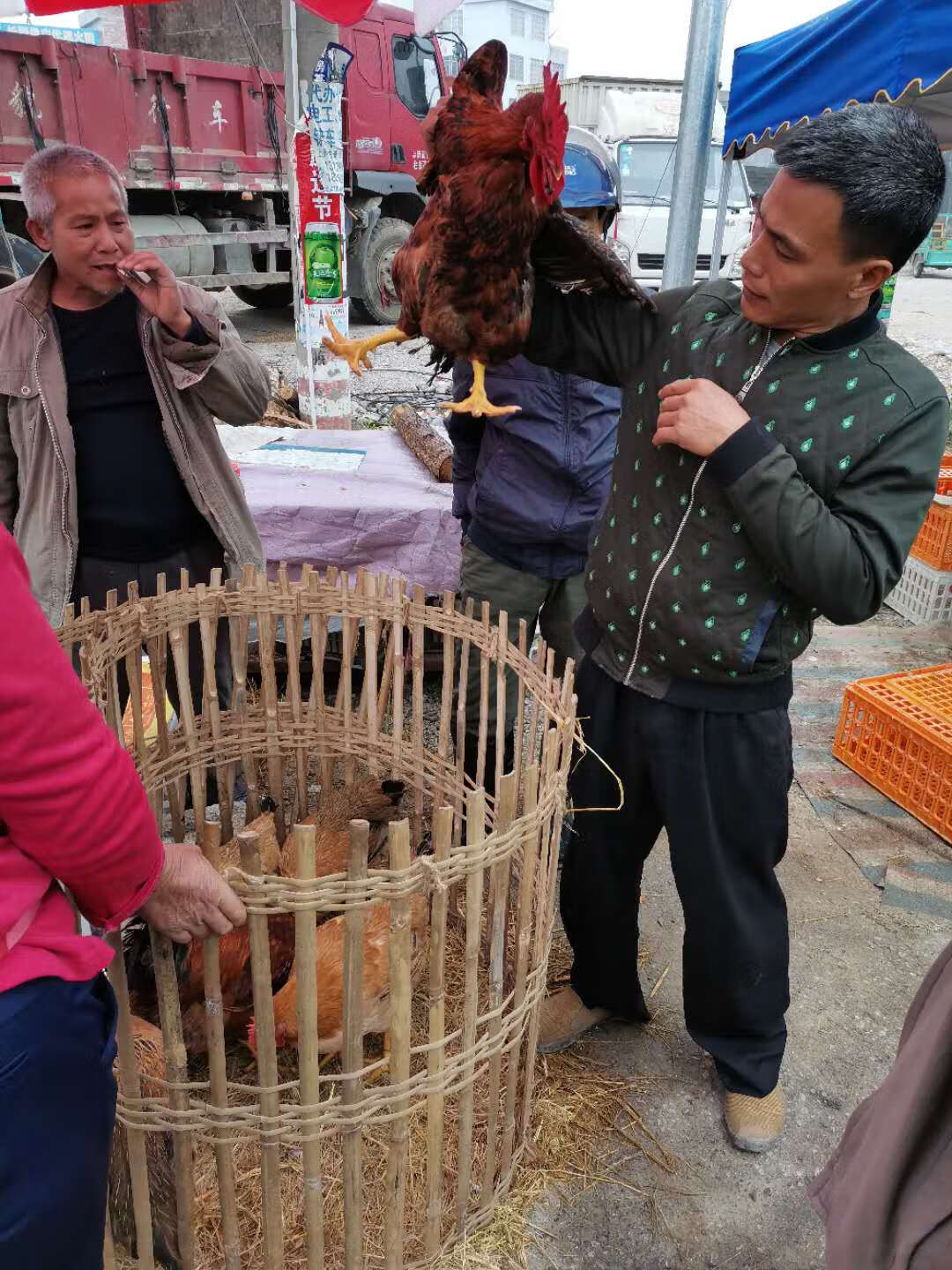 鸡笼鸭笼养殖笼竹子竹编手工摆摊鸡圈鸭子围栏养鸭笼子家用护栏 定制